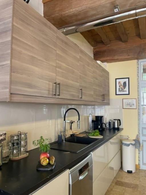La Maison De Lea, Chambres D'Hotes De 14 Couchages Tournus Eksteriør billede